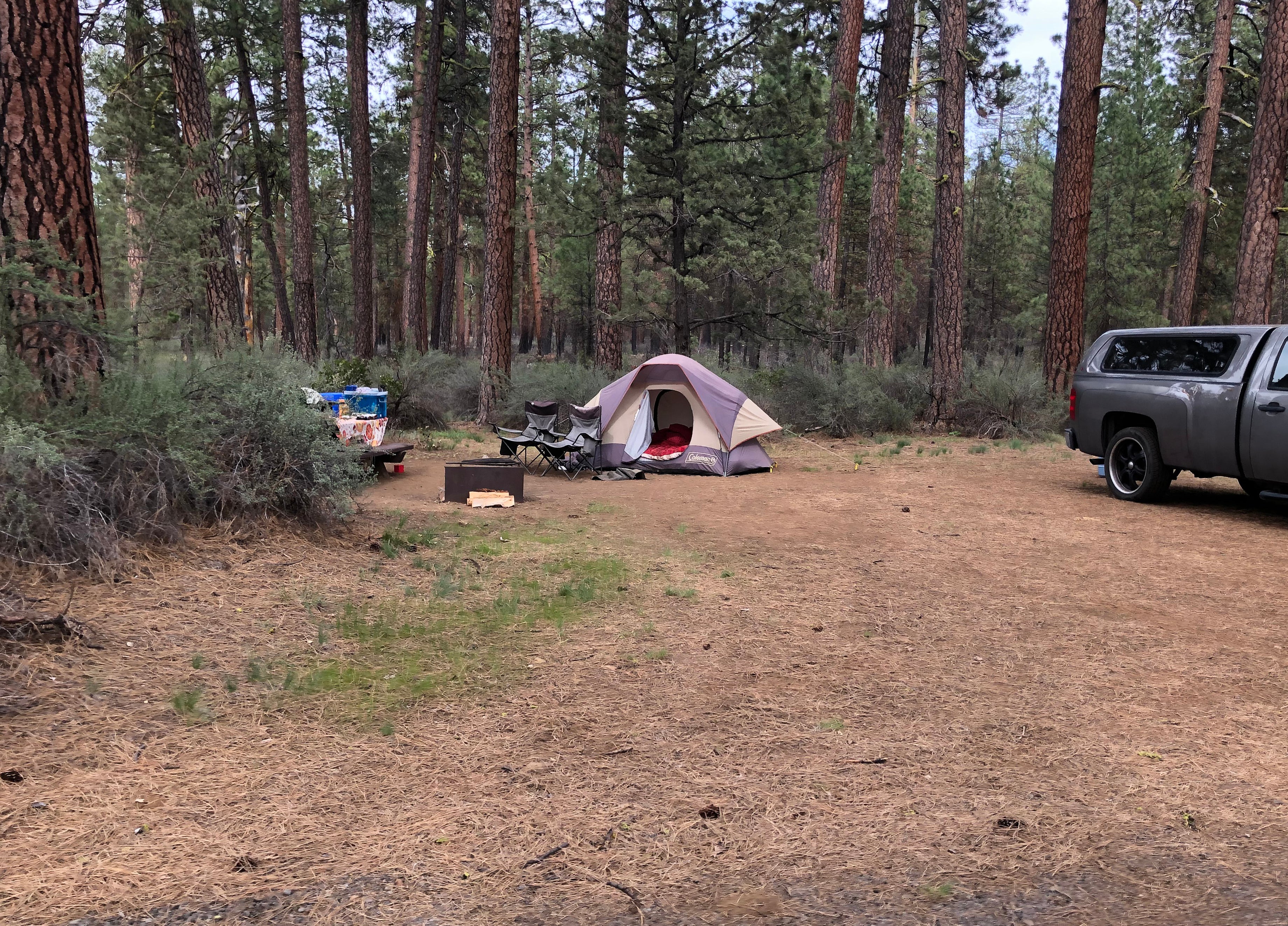 Camper submitted image from Indian Ford Campground - 5