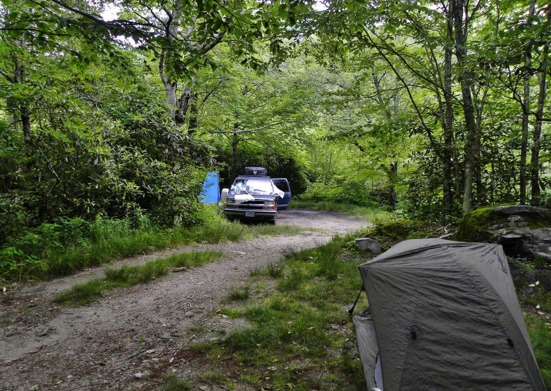 Camper submitted image from Blue Ridge Roadside Campsites - 2