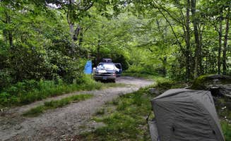 Myron C.'s photo of a dispersed camping area at Blue Ridge Roadside Campsites near Inman, SC