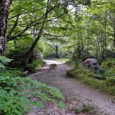 Review photo of Blue Ridge Roadside Campsites by Myron C., July 1, 2019