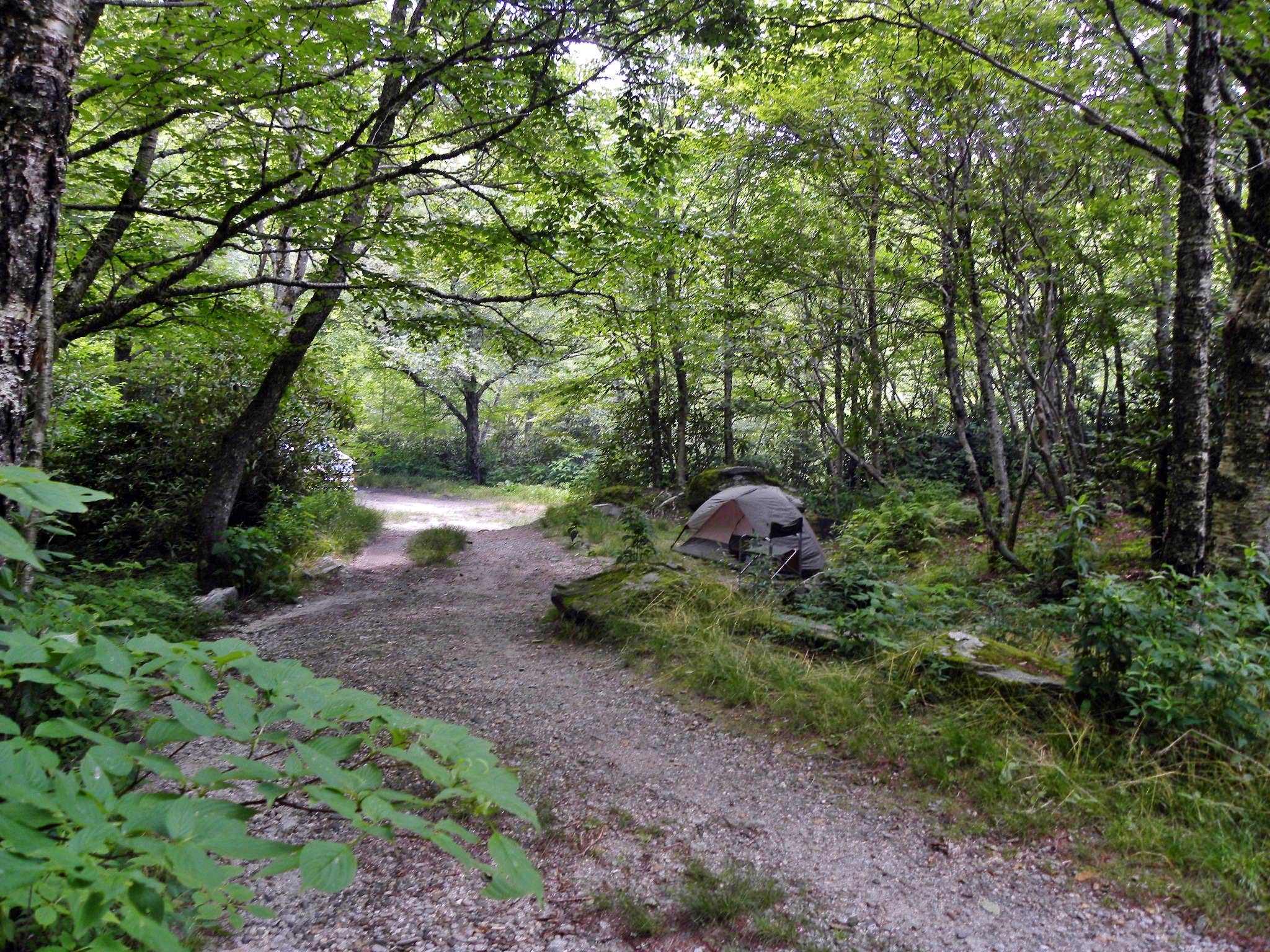 Camper submitted image from Blue Ridge Roadside Campsites - 5