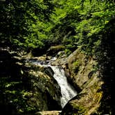 Review photo of Blue Ridge Roadside Campsites by Myron C., July 1, 2019