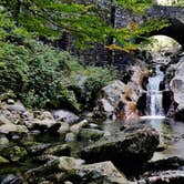 Review photo of Blue Ridge Roadside Campsites by Myron C., July 1, 2019