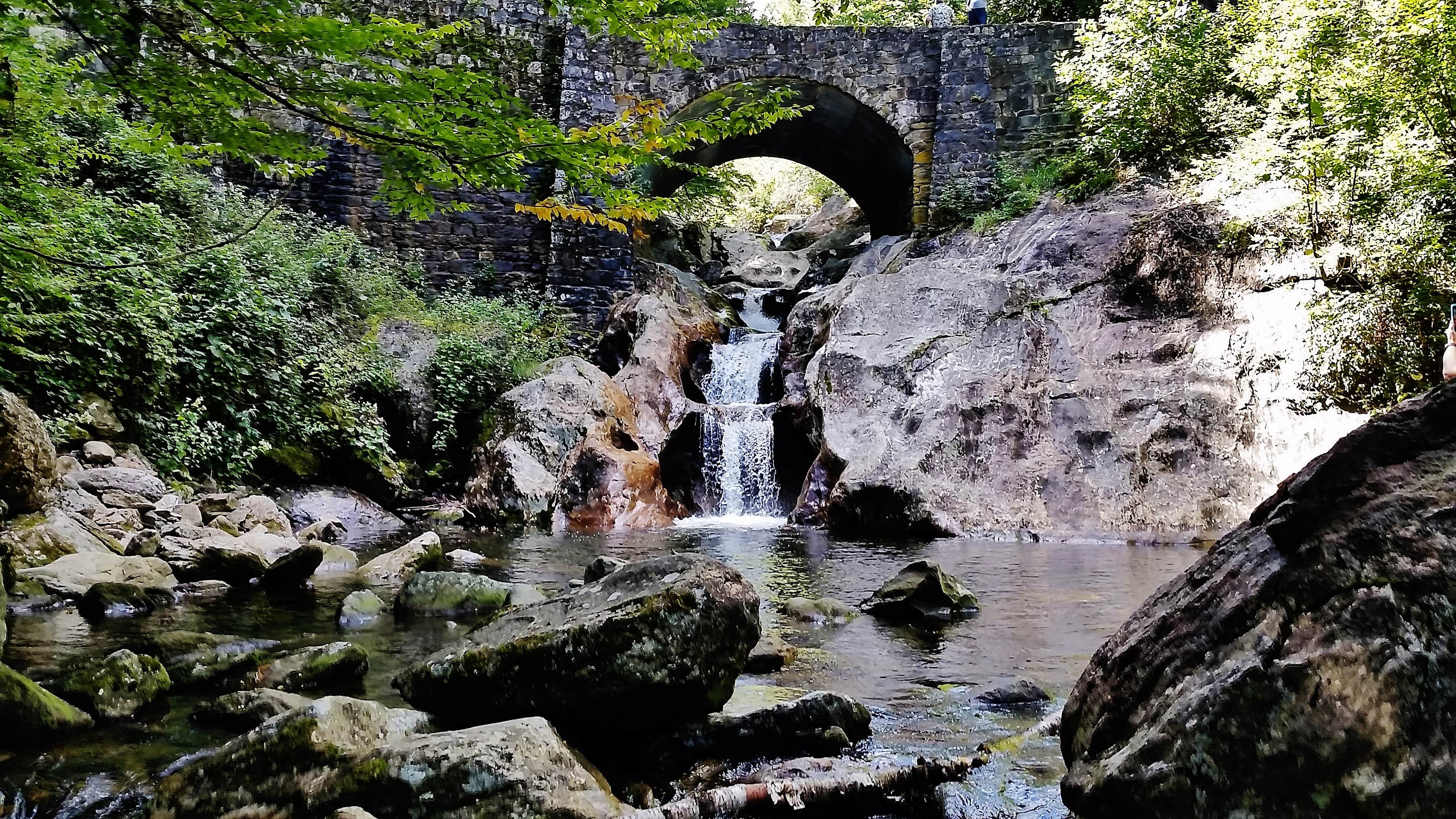 Camper submitted image from Blue Ridge Roadside Campsites - 2