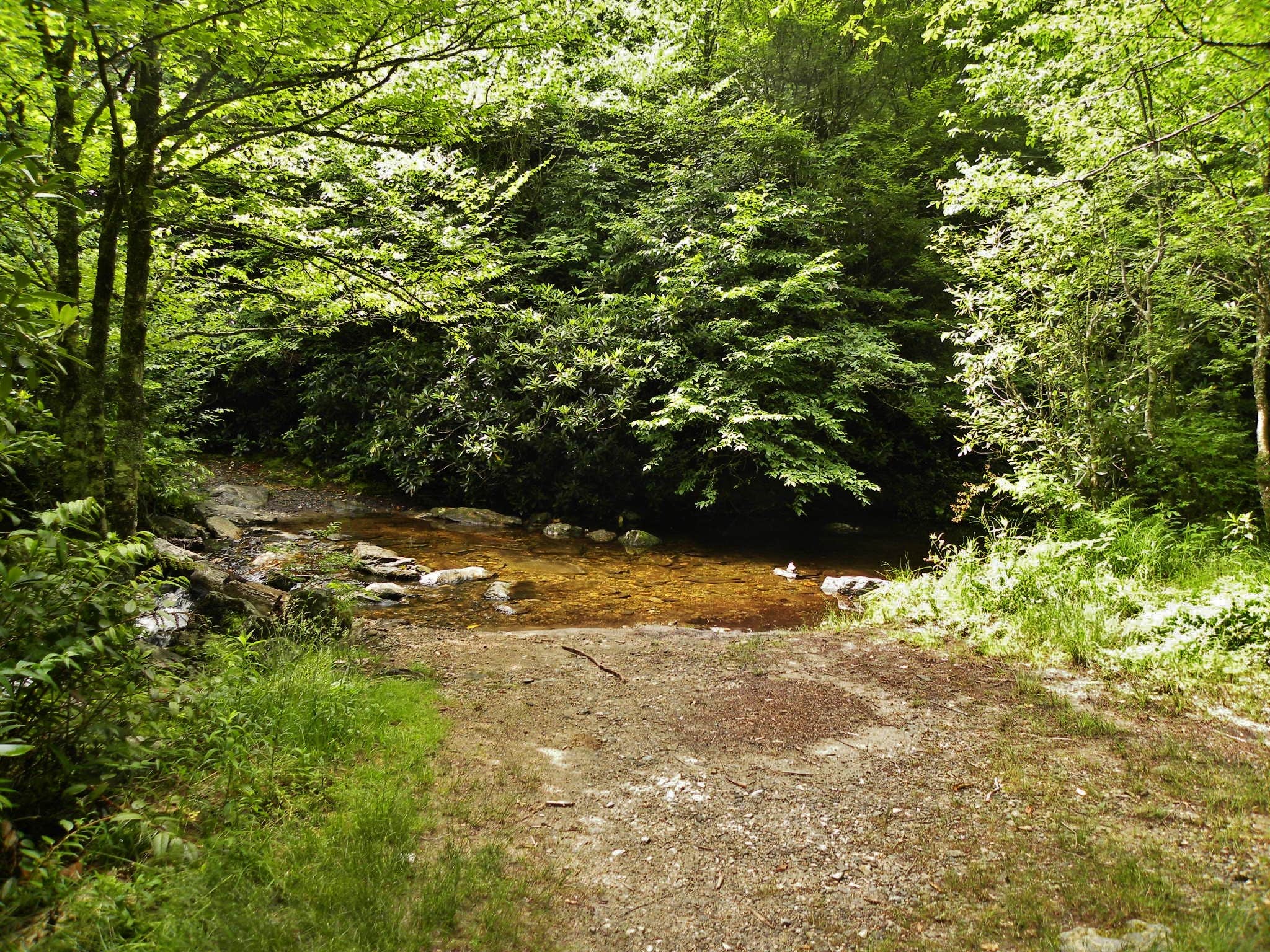 Camper-submitted photo at Blue Ridge Roadside Campsites near Glendale, SC