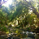 Review photo of Kahana Campground — Ahupuaʻa ʻO Kahana State Park by Steve & Ashley  G., July 1, 2019