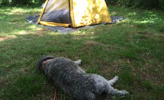 Molly G.'s photo at Lewis Mountain Campground — Shenandoah National Park near Shenandoah National Park