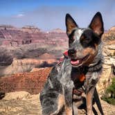 Review photo of Tusayan-Montane — Grand Canyon National Park by Molly G., September 6, 2016