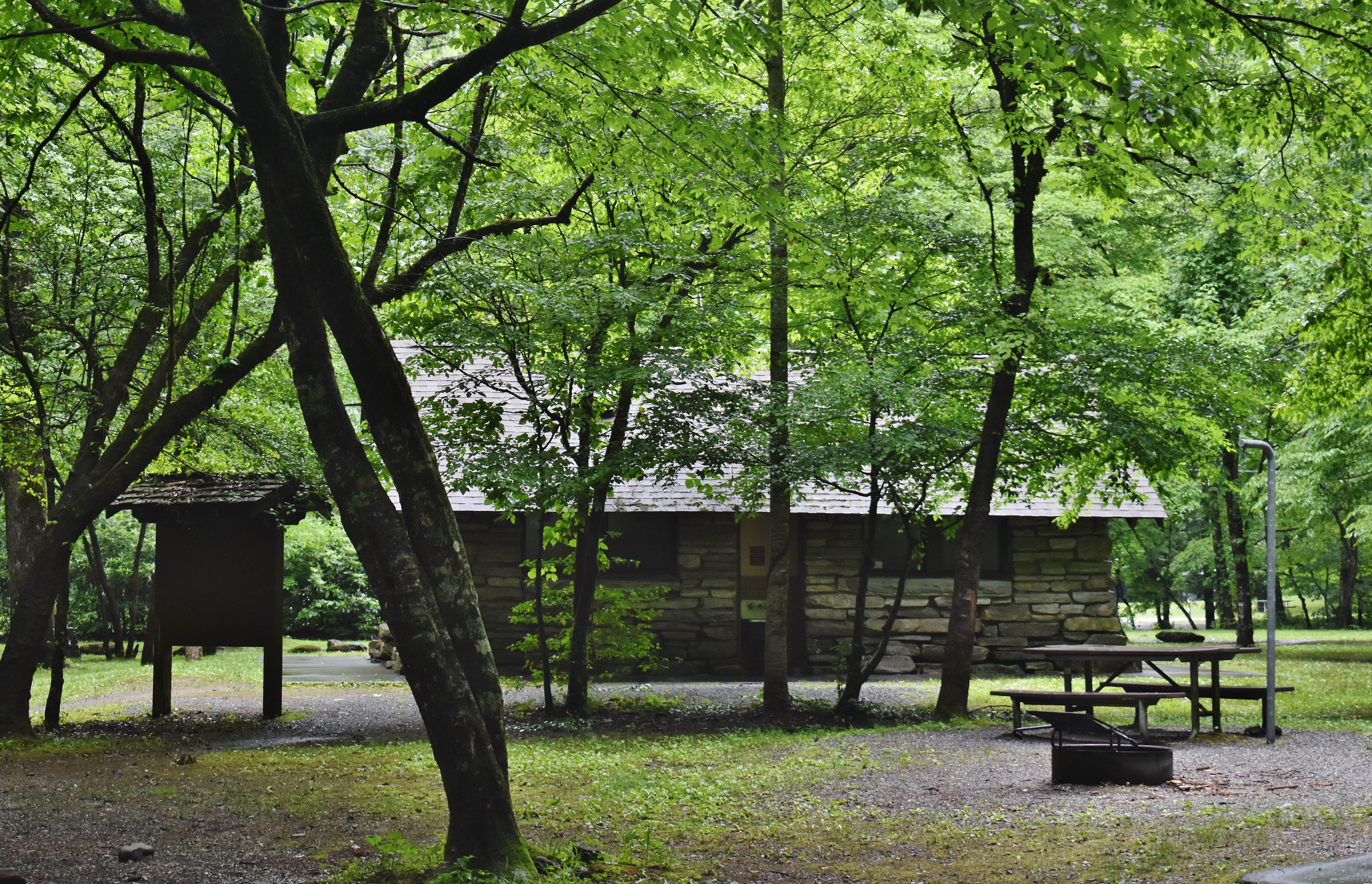 Camper submitted image from Smokemont Campground — Great Smoky Mountains National Park - 4