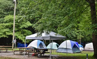 Myron C.'s photo at Smokemont Campground — Great Smoky Mountains National Park near Cherokee, NC