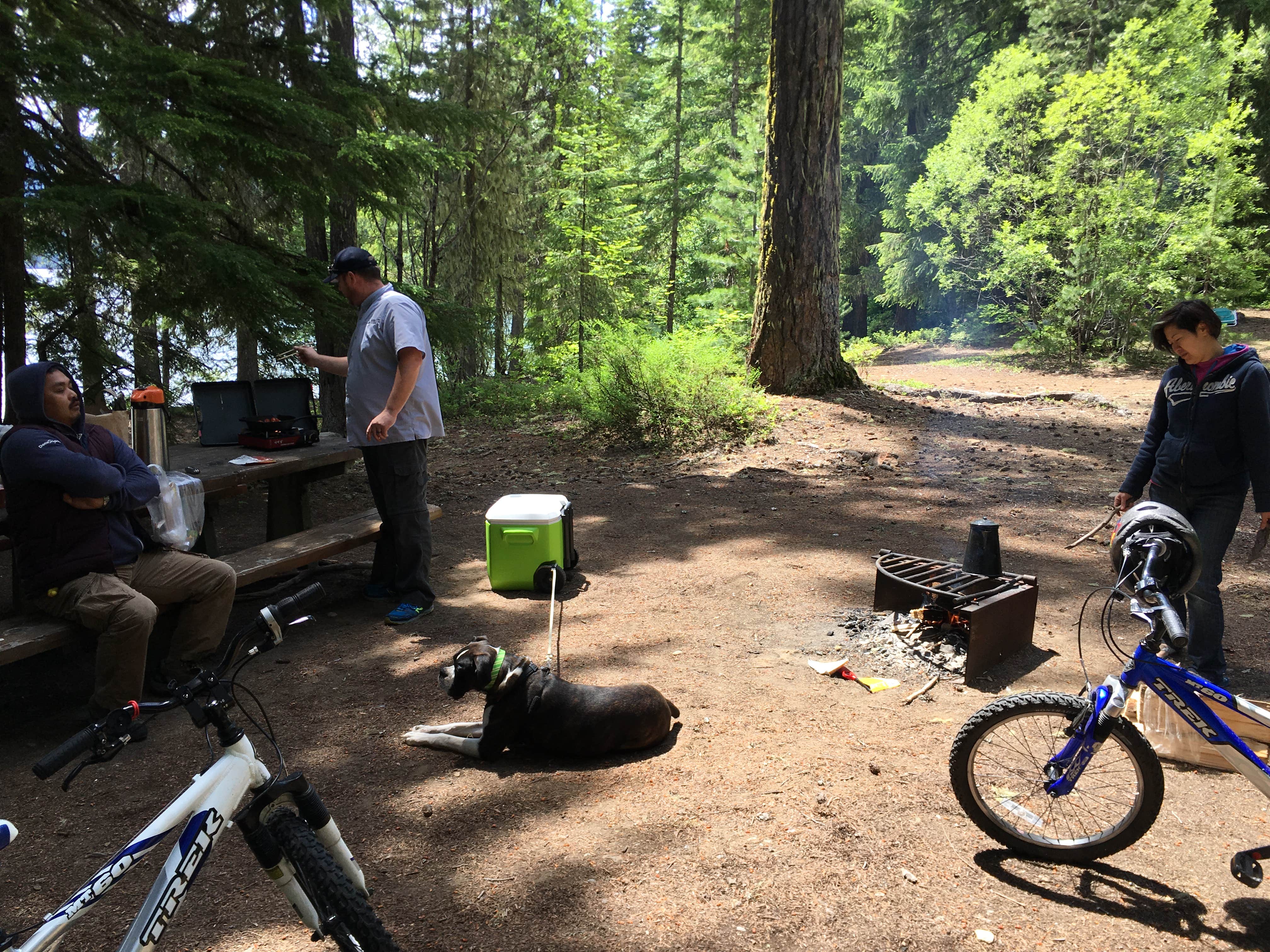Jason P.'s photo of camping with pets at Kachess Campground near Okanogan-Wenatchee National Forest