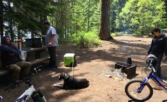 Jason P.'s photo of camping with pets at Kachess Campground near Easton, WA