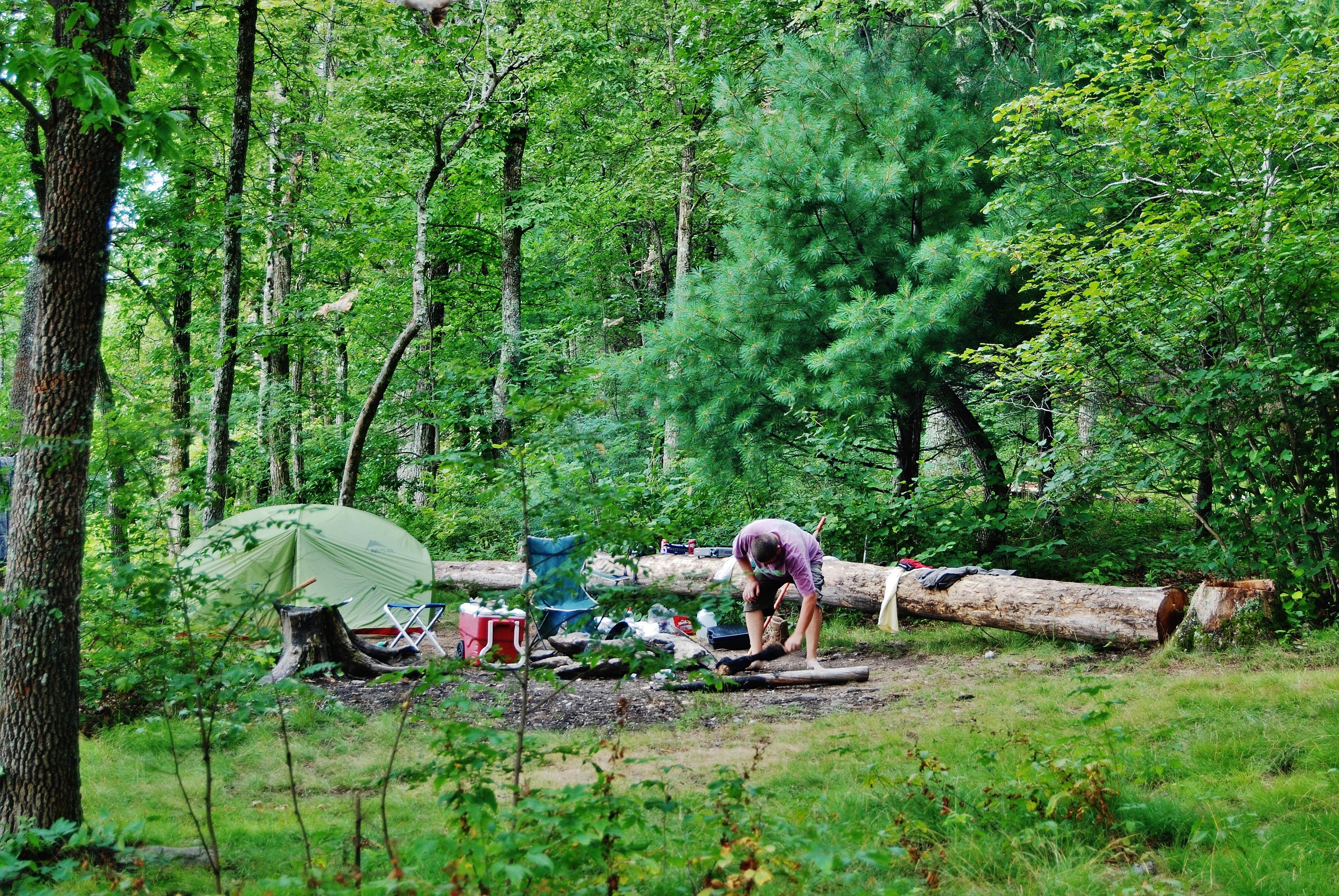 Camper submitted image from Table Rock Campsites (Linville Gorge Wilderness) - 5