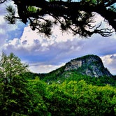Review photo of Table Rock Campsites (Linville Gorge Wilderness) by Myron C., July 1, 2019