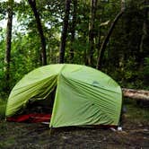 Review photo of Table Rock Campsites (Linville Gorge Wilderness) by Myron C., July 1, 2019