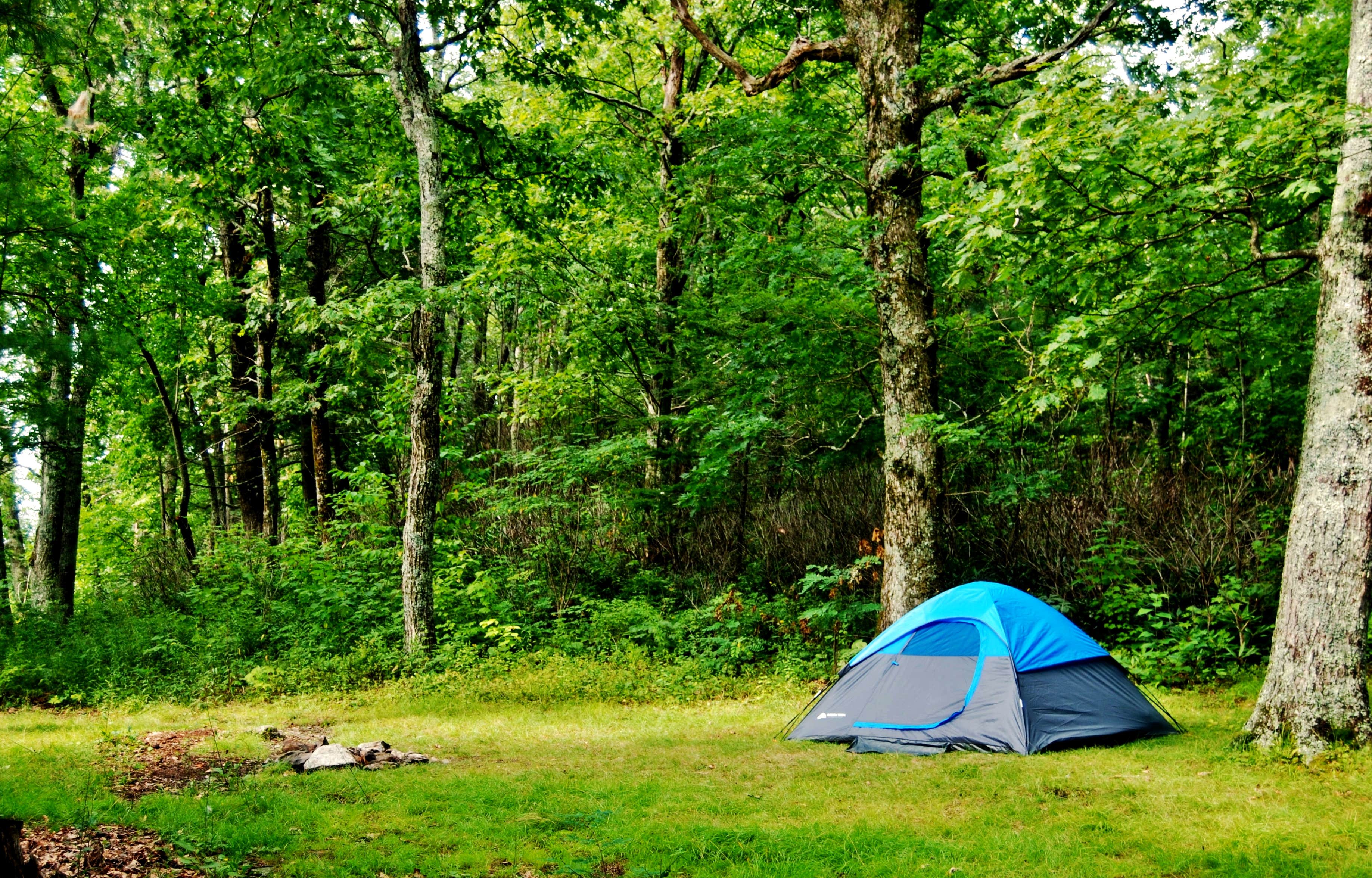 Myron C.'s photo at Table Rock Campsites (Linville Gorge Wilderness) near Glen Alpine, NC