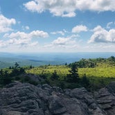 Review photo of Grayson Highlands State Park Campground by GoWhereYouAreDraw N., July 1, 2019