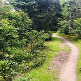 Review photo of Hickory Ridge Campground — Grayson Highlands State Park by GoWhereYouAreDraw N., July 1, 2019