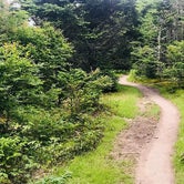 Review photo of Grayson Highlands State Park Campground by GoWhereYouAreDraw N., July 1, 2019