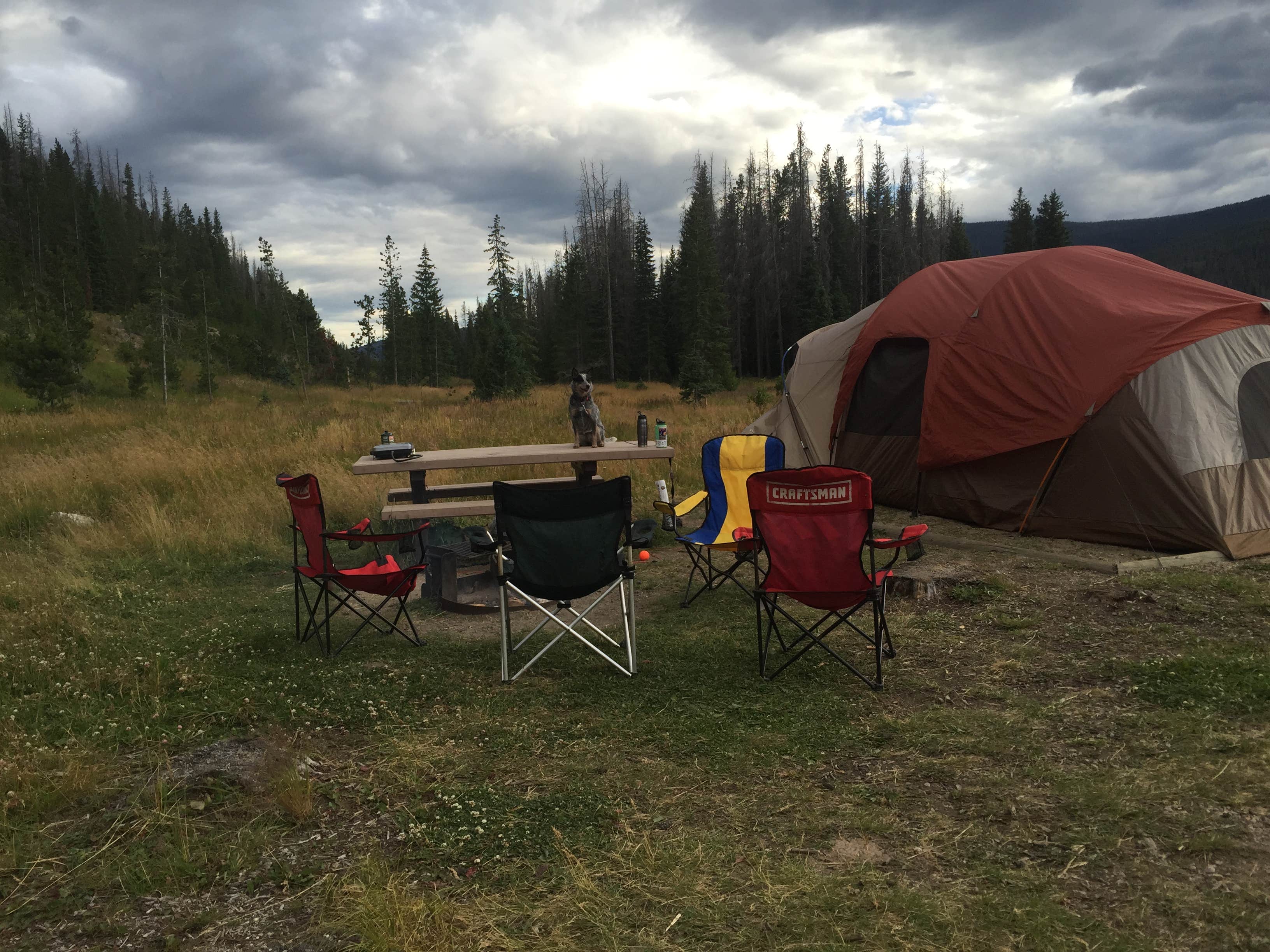 Molly G.'s photo at Moraine Park Campground — Rocky Mountain National Park near Estes Park, CO