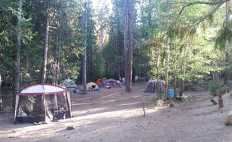 Roman M.'s photo at Aspen Hollow Campground near Hume, CA