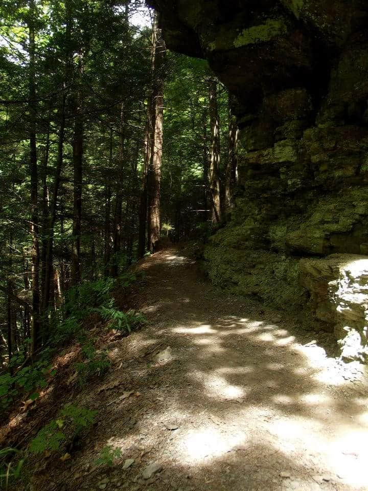 Camper submitted image from Colton Point State Park Campground - 2