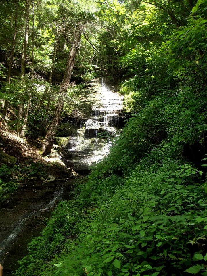 Camper submitted image from Colton Point State Park Campground - 5
