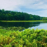 Review photo of Pocahontas State Park Campground by GoWhereYouAreDraw N., July 1, 2019