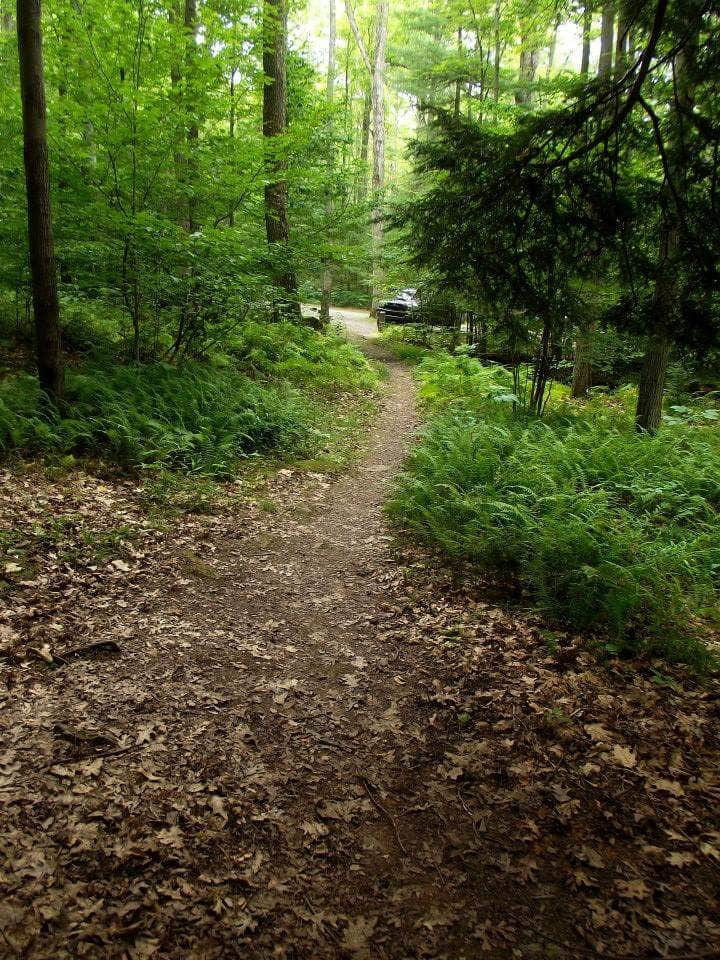 Colton Point State Park Campground Wellsboro, PA
