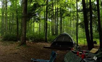 Camping near Leonard Harrison State Park — Leonard Harrison State Park: Colton Point State Park Campground, Gaines, Pennsylvania