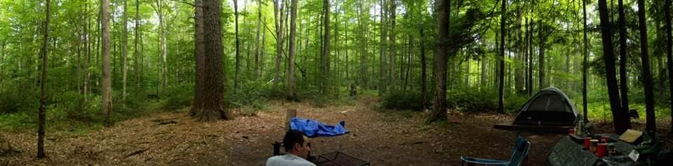 Camper submitted image from Colton Point State Park Campground - 1