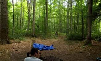 Sadie S.'s photo at Colton Point State Park Campground near Lawrenceville, PA