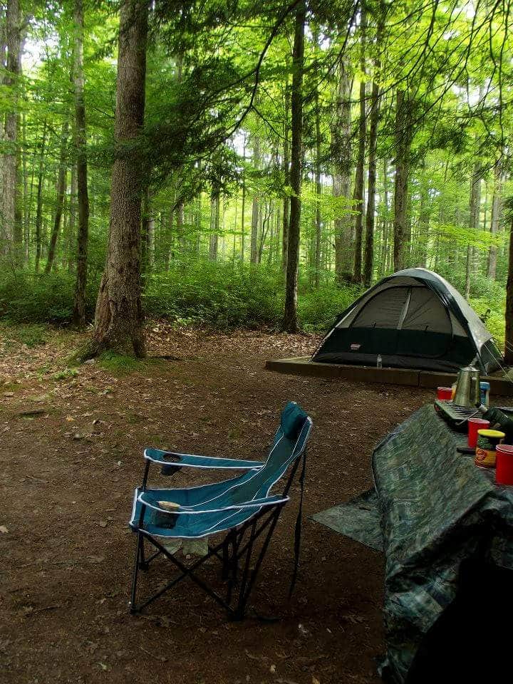 Sadie S.'s photo of tent camping at Colton Point State Park Campground near Shunk, PA