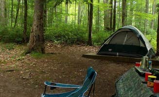 Sadie S.'s photo of tent camping at Colton Point State Park Campground near Sabinsville, PA