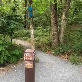 Review photo of Cloudland Canyon State Park Campground by Lori H., July 1, 2019
