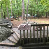 Review photo of Red Top Mountain State Park Campground by Lori H., July 1, 2019