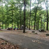 Review photo of Red Top Mountain State Park Campground by Lori H., July 1, 2019