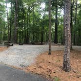Review photo of Red Top Mountain State Park Campground by Lori H., July 1, 2019