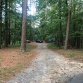 Review photo of Red Top Mountain State Park Campground by Lori H., July 1, 2019