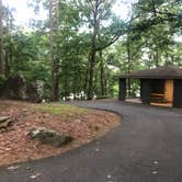 Review photo of Red Top Mountain State Park Campground by Lori H., July 1, 2019