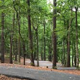 Review photo of Red Top Mountain State Park Campground by Lori H., July 1, 2019