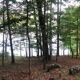 Review photo of Red Top Mountain State Park Campground by Lori H., July 1, 2019