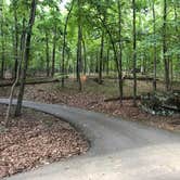 Review photo of Red Top Mountain State Park Campground by Lori H., July 1, 2019