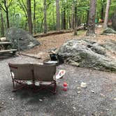 Review photo of Red Top Mountain State Park Campground by Lori H., July 1, 2019