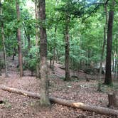 Review photo of Red Top Mountain State Park Campground by Lori H., July 1, 2019
