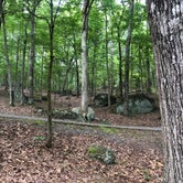 Review photo of Red Top Mountain State Park Campground by Lori H., July 1, 2019