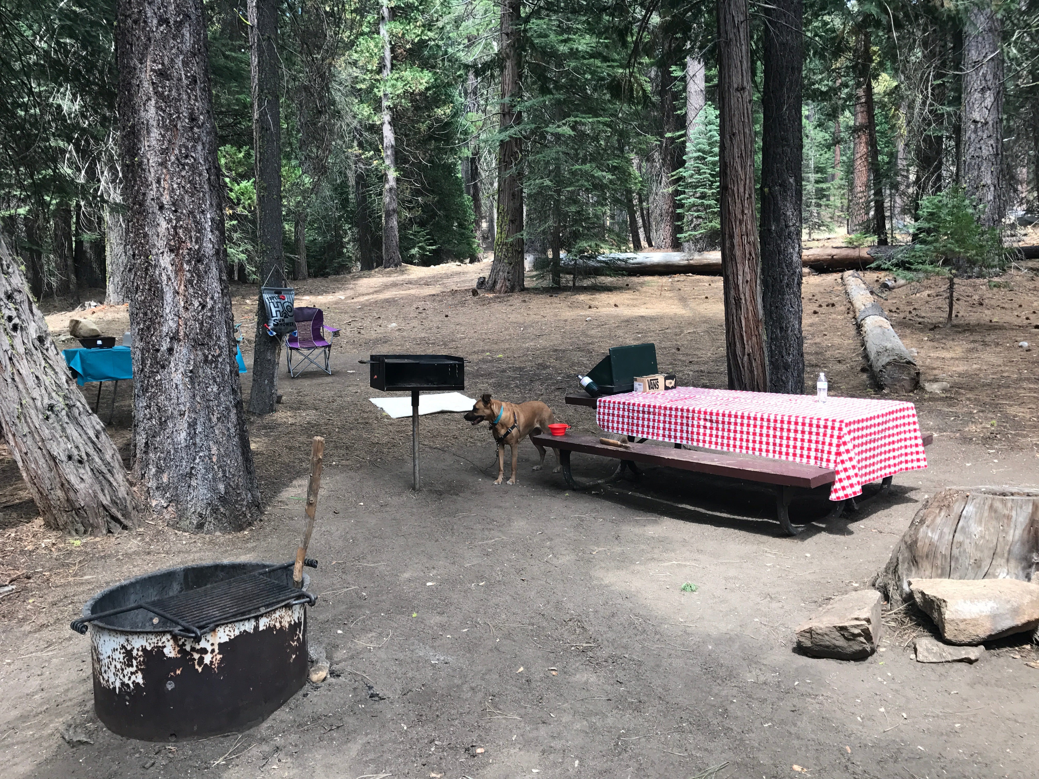 Camper submitted image from Silver Fork Campground - 2