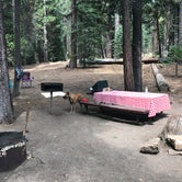 Review photo of Silver Fork Campground by Melissa R., July 1, 2019