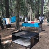 Review photo of Silver Fork Campground by Melissa R., July 1, 2019