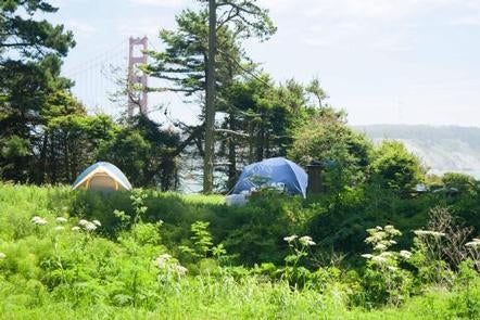 Camper submitted image from Kirby Cove Campground — Golden Gate National Recreation Area - 2